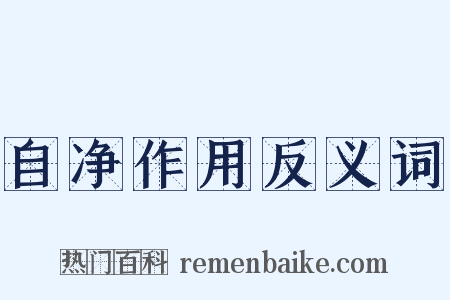 自净作用反义词是什么意思的图片